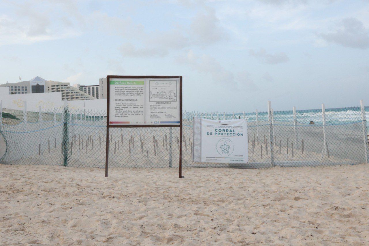 uploads/6/32/01 (564).Jpeg